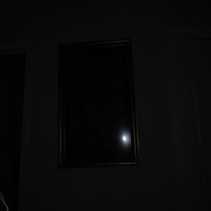 公猪配美女的动物
